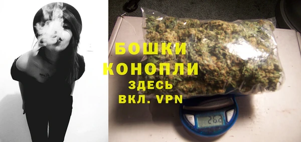 скорость Гусев