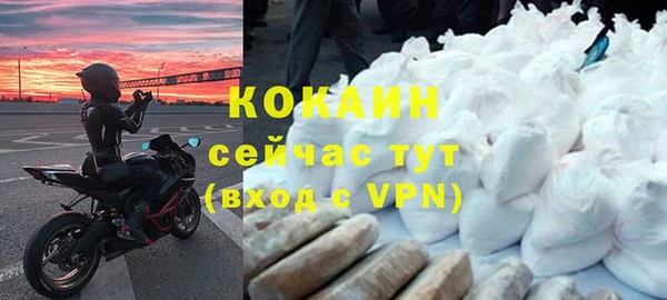 скорость Гусев
