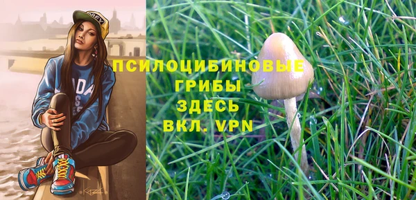 марки lsd Гусиноозёрск