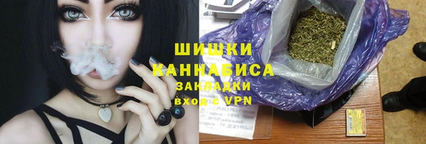 скорость Гусев