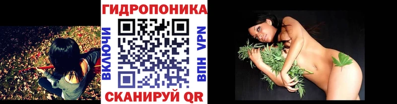 Шишки марихуана MAZAR  Тверь 